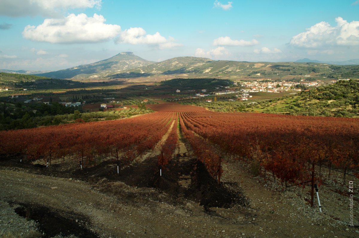 Ktima Palivou