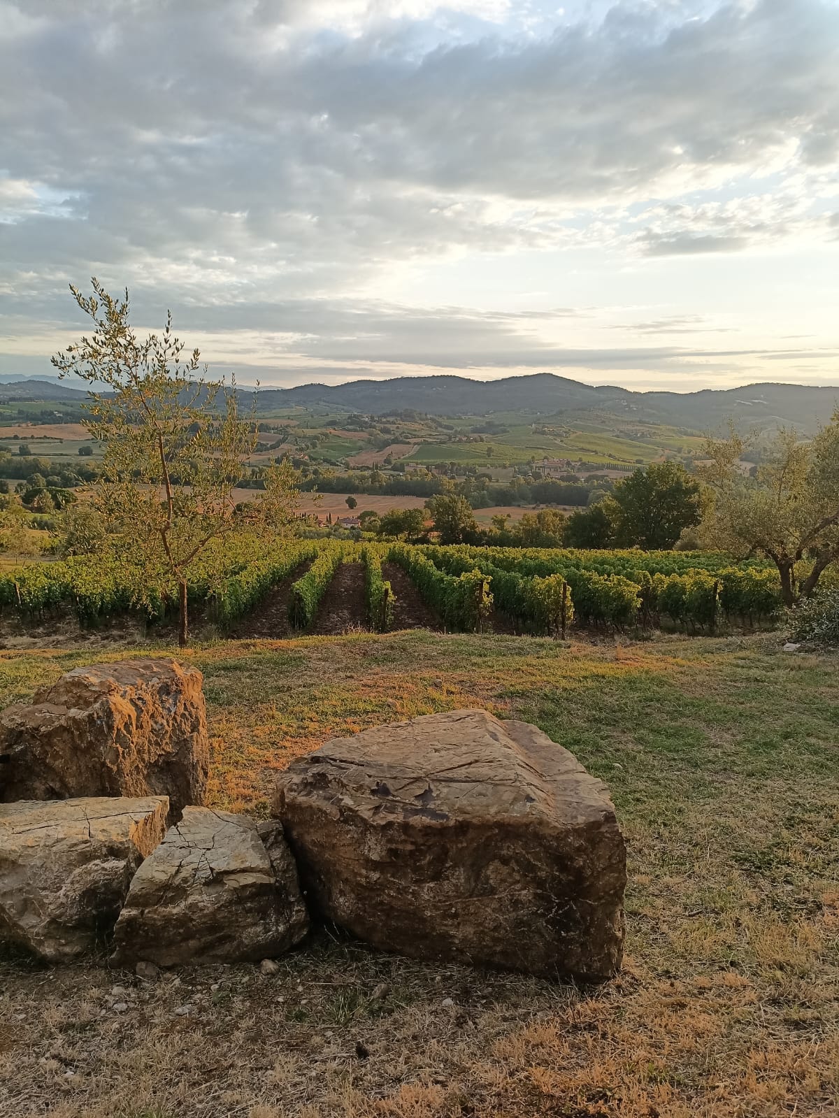 agricampeggio cipollatico