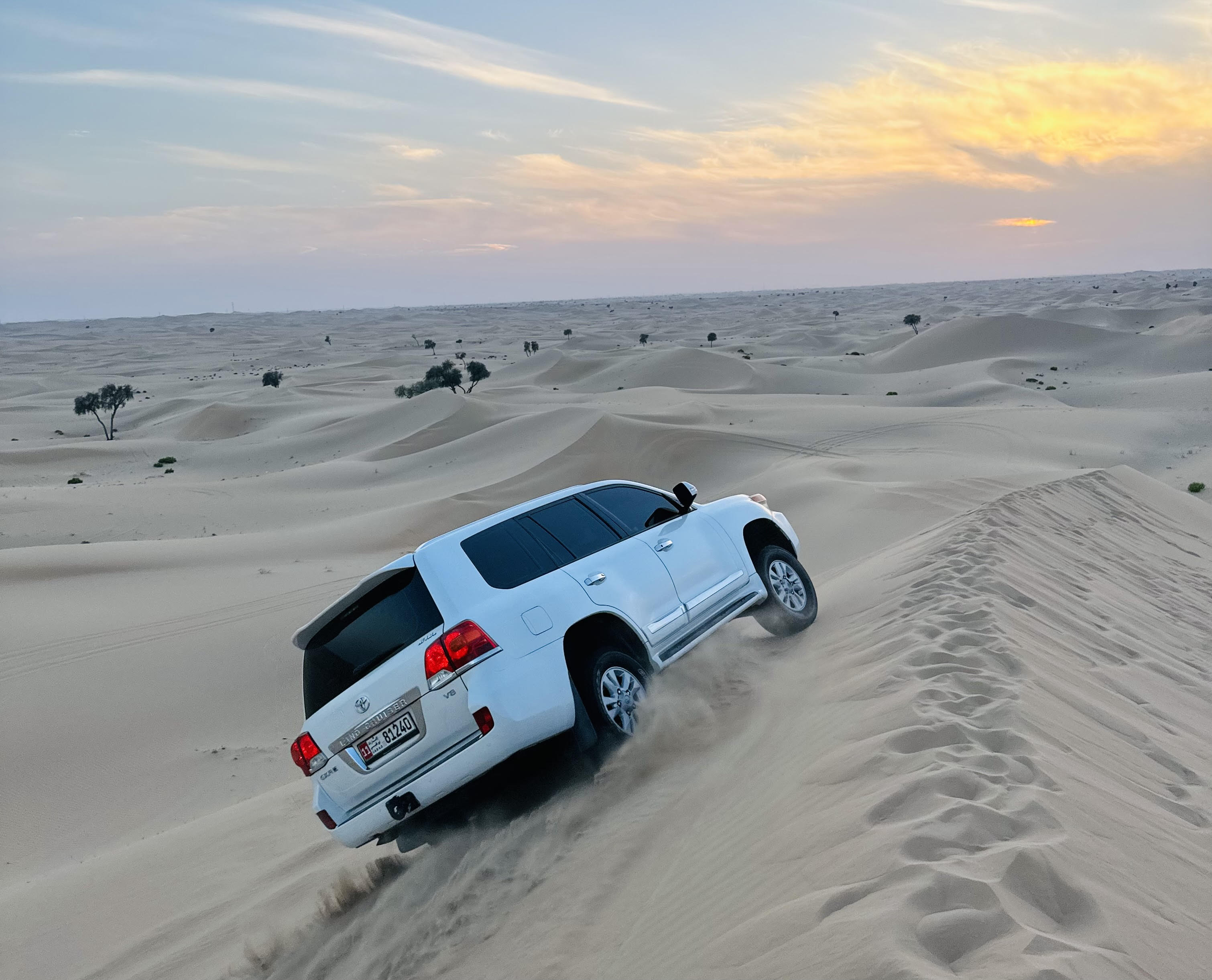 Visitors Destination Tours