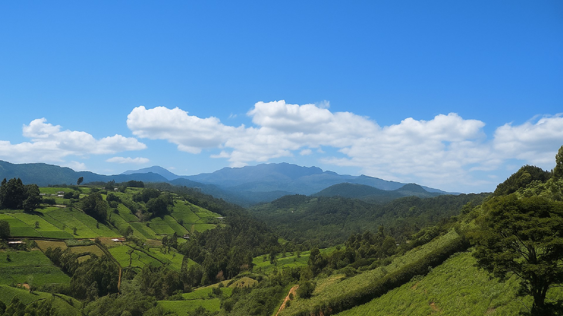Ranges View Lodge