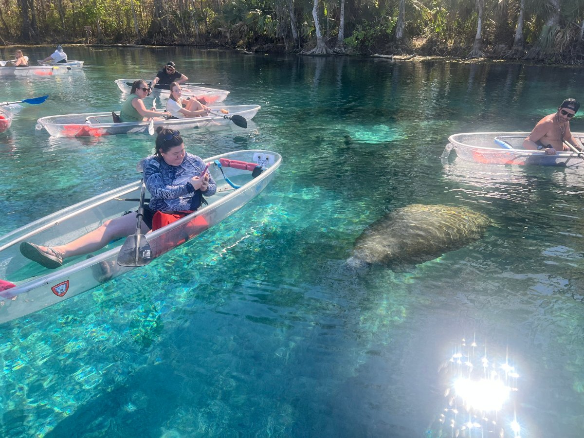 Epic Paddle Adventures
