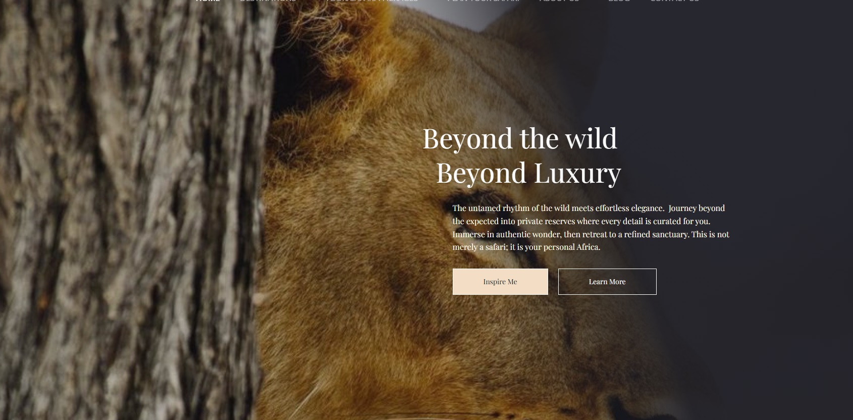 Beneber Africa Safaris