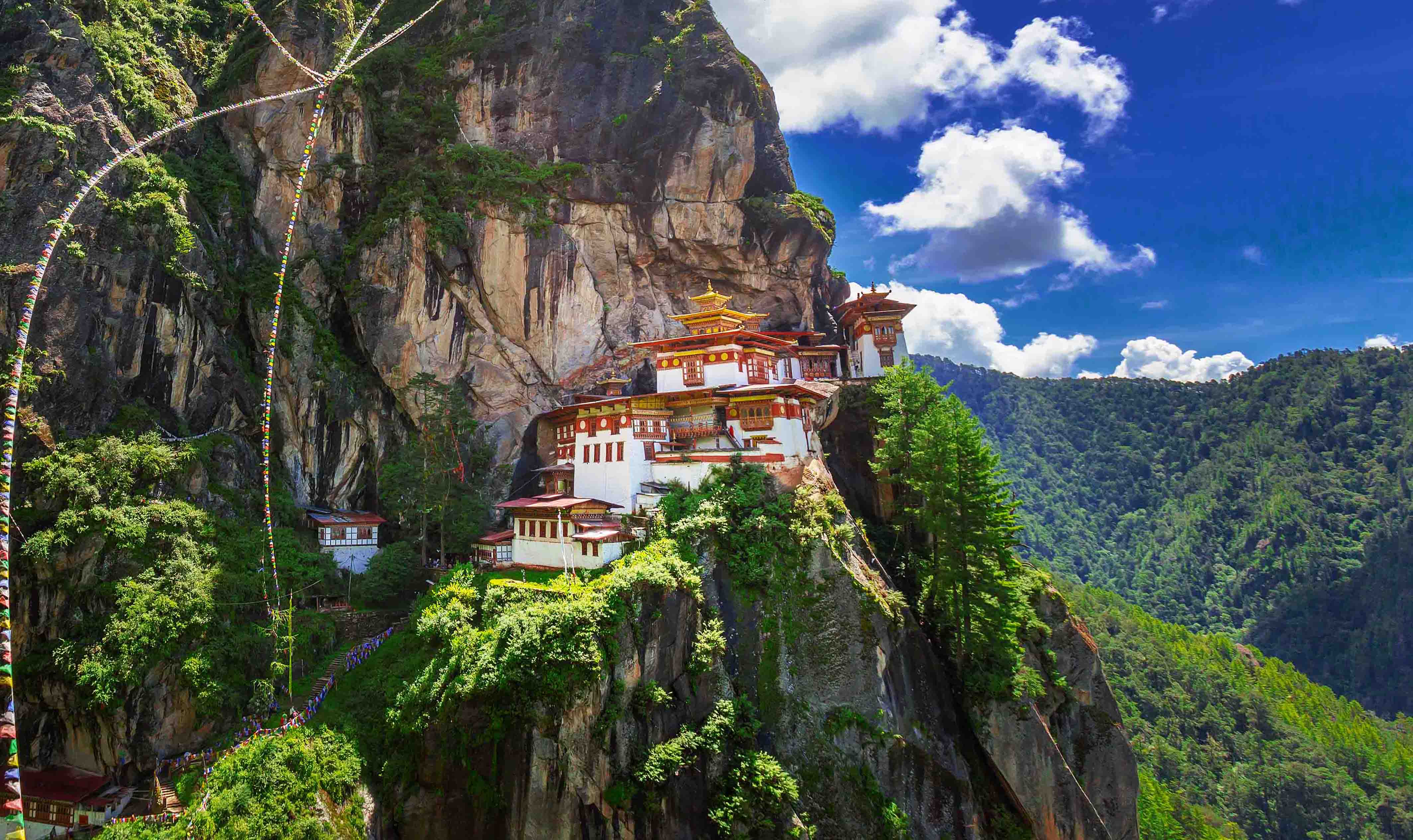 Indruka tours and travels