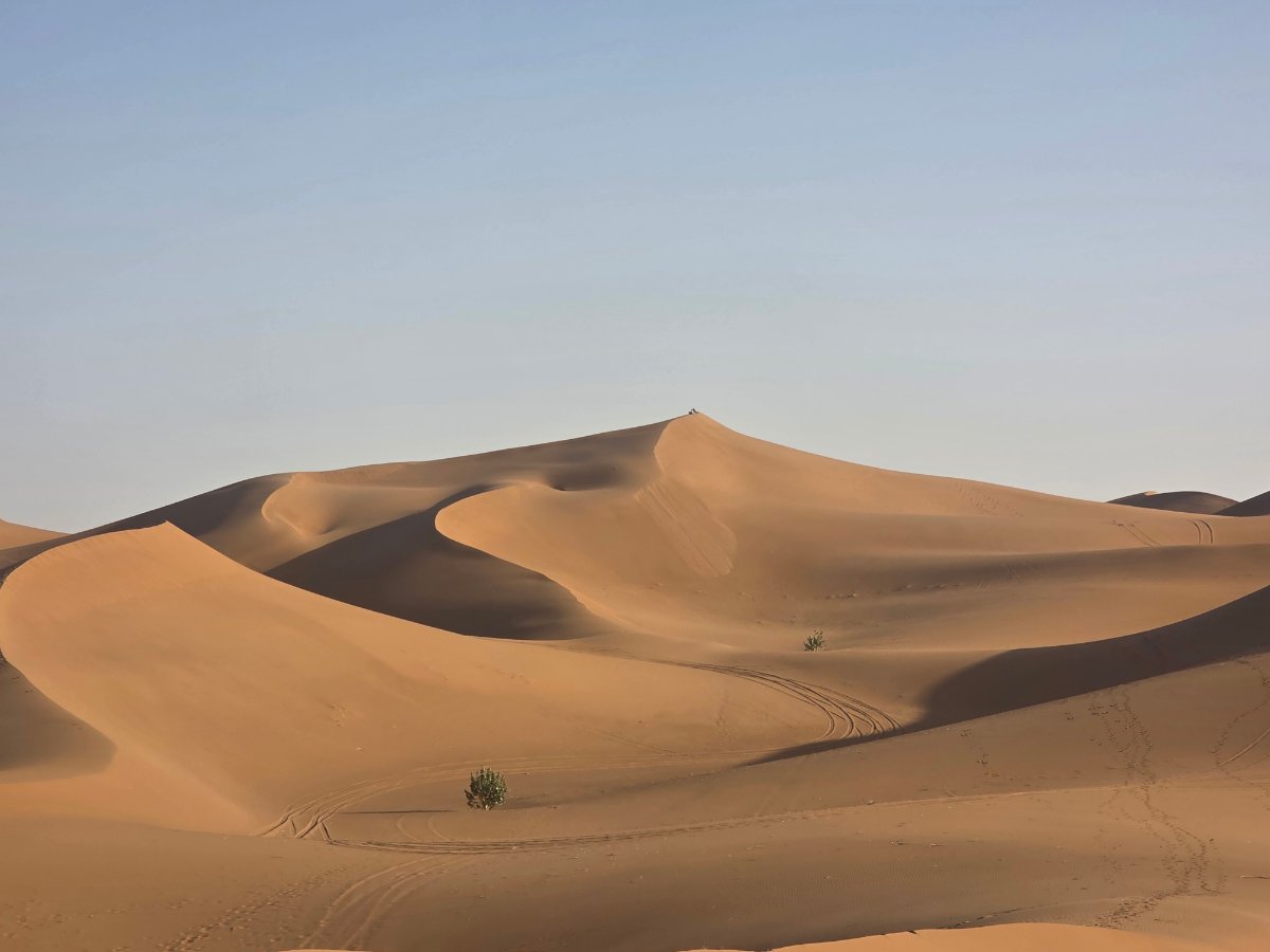 Vero sahara morocco