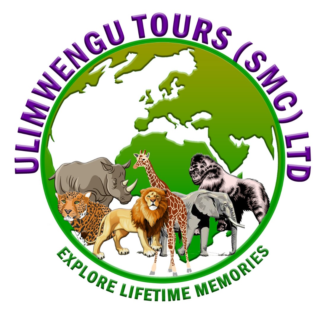 Ulimwengu Tours (SMC) Ltd