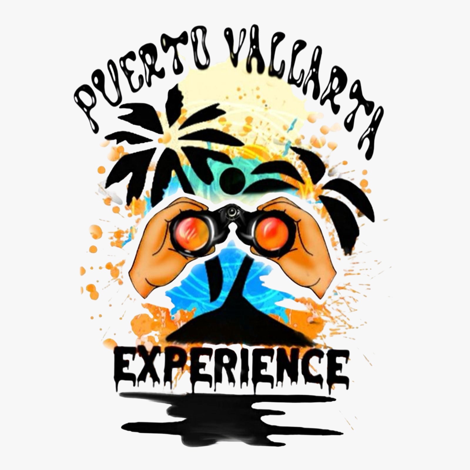 PuertoVallartaExperience