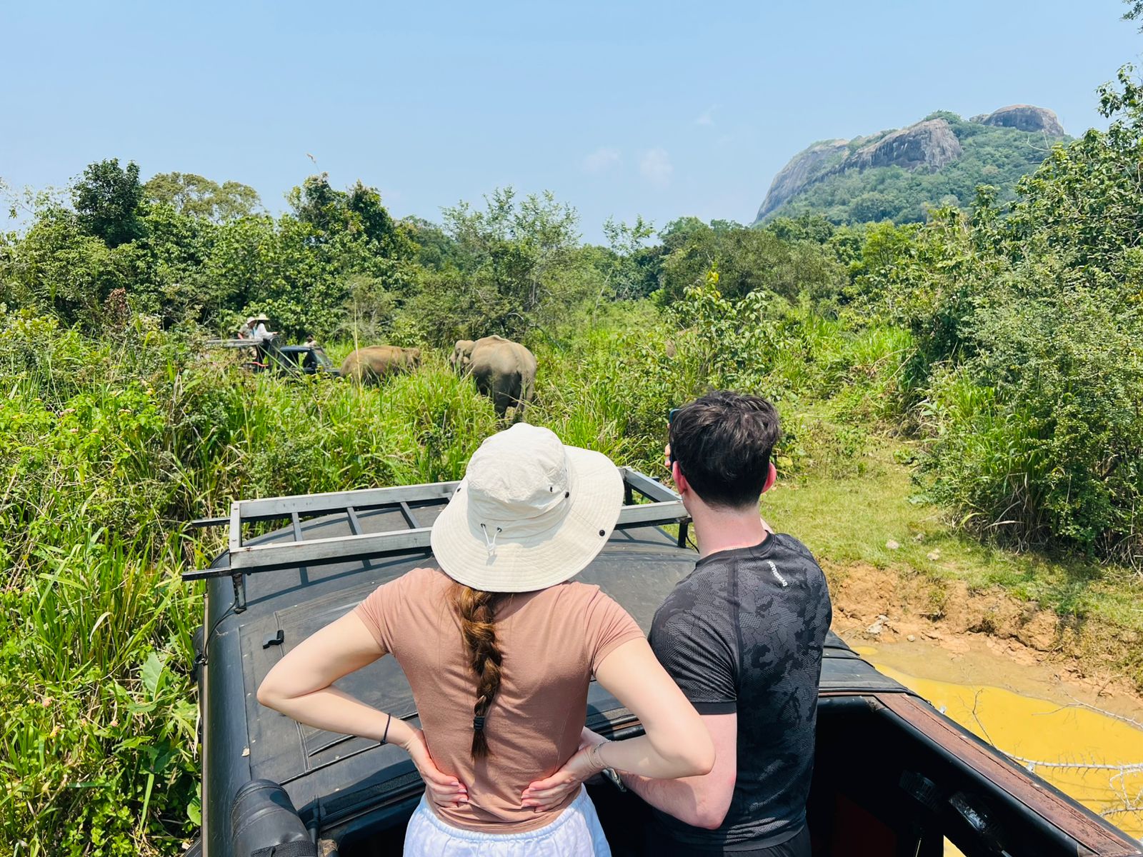 Minneriya Wild Jeep Safari