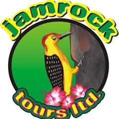 Jamrock Tours Limited