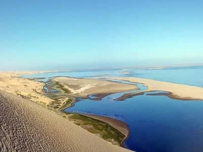 Shifting Sands Tours & Safaris