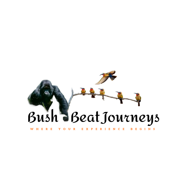 Bush beat journeys