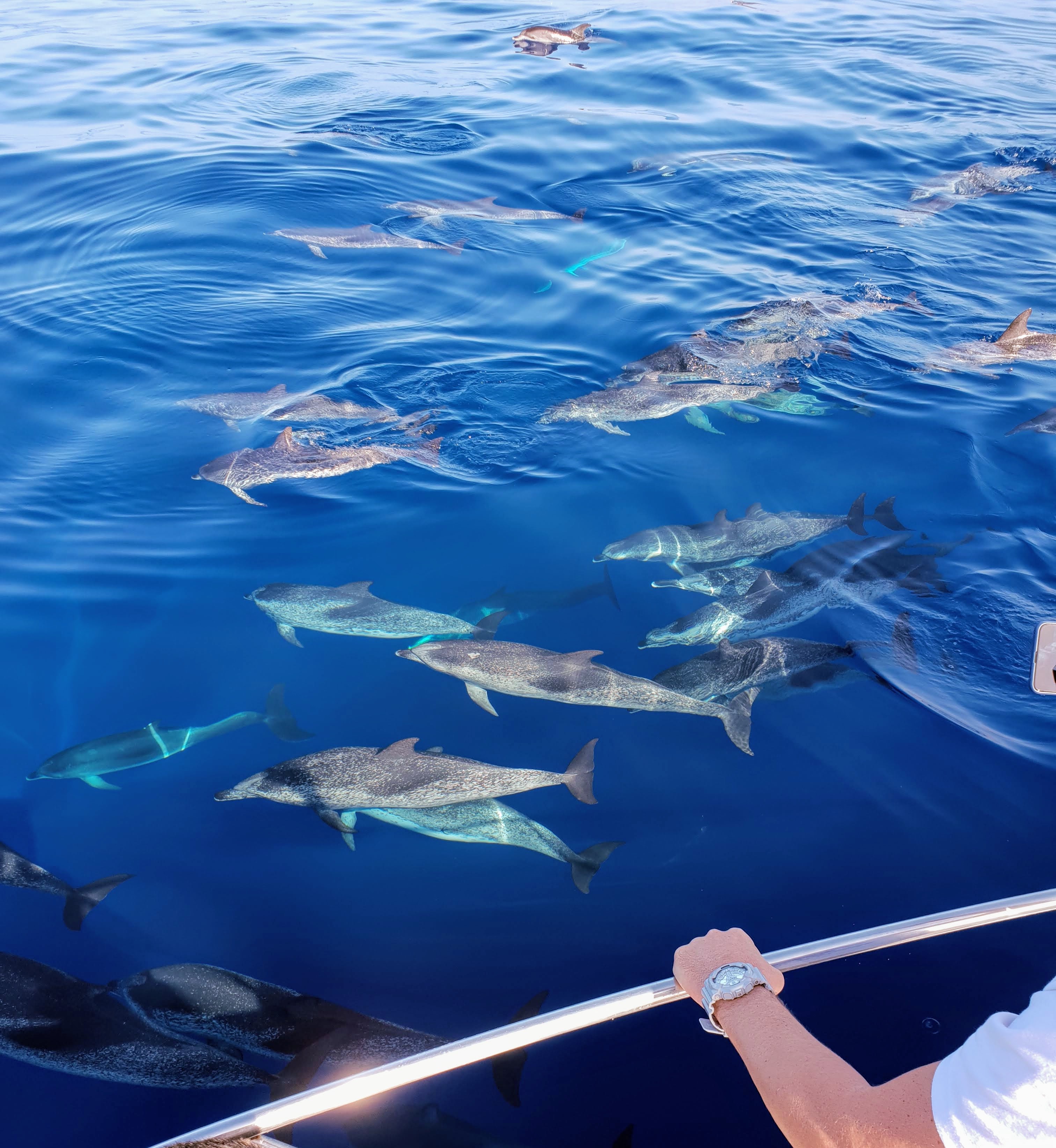 Faustino Afonso González