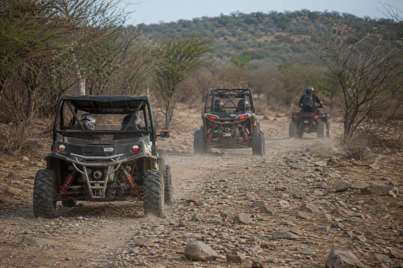 Atlas Buggy Quad