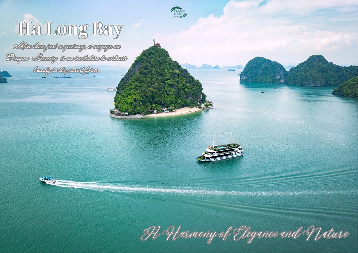 Dragon Cruise Ha Long Bay