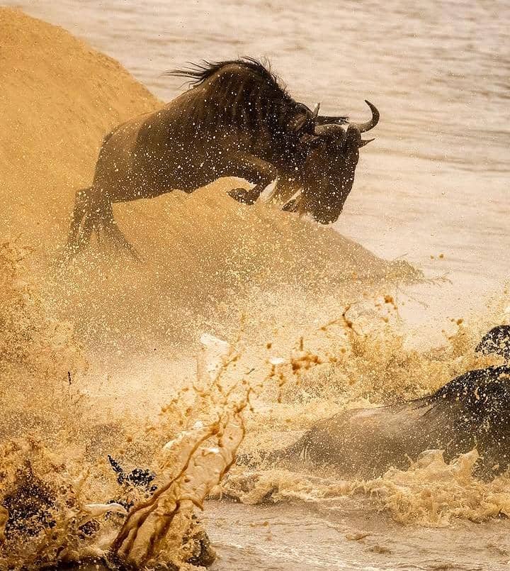 KeRata Wild Safaris