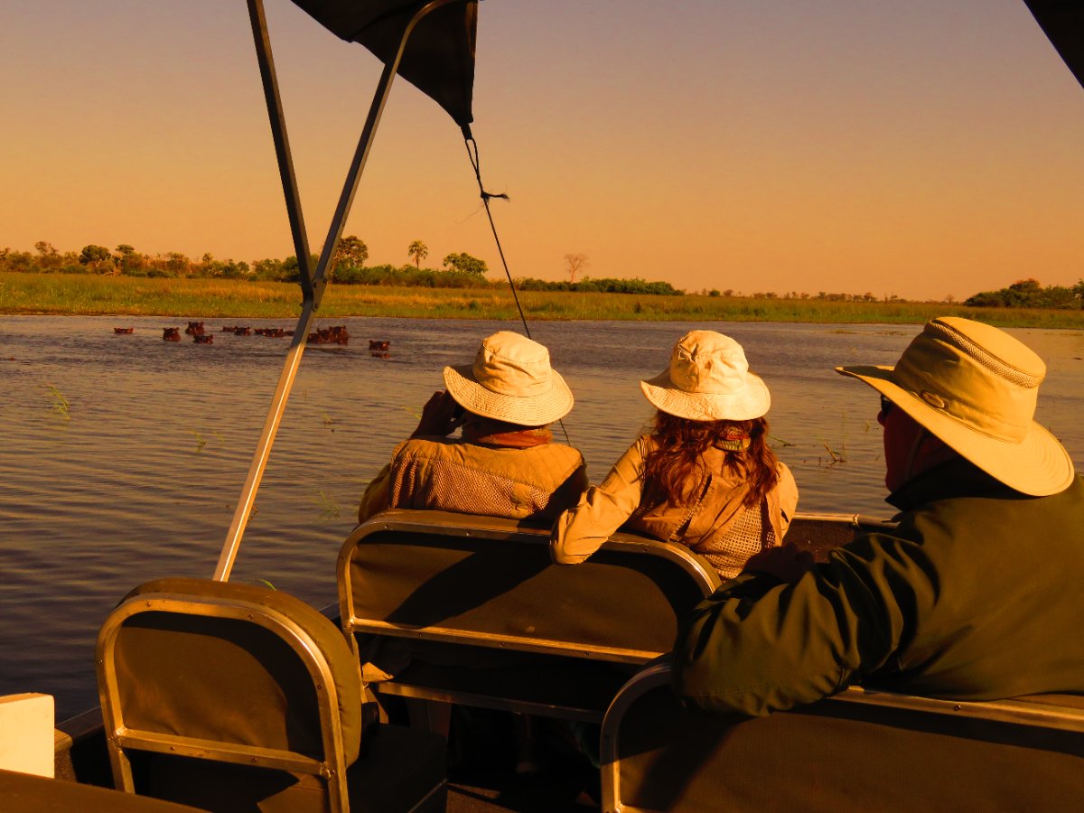 Guided Chobe Game Drive