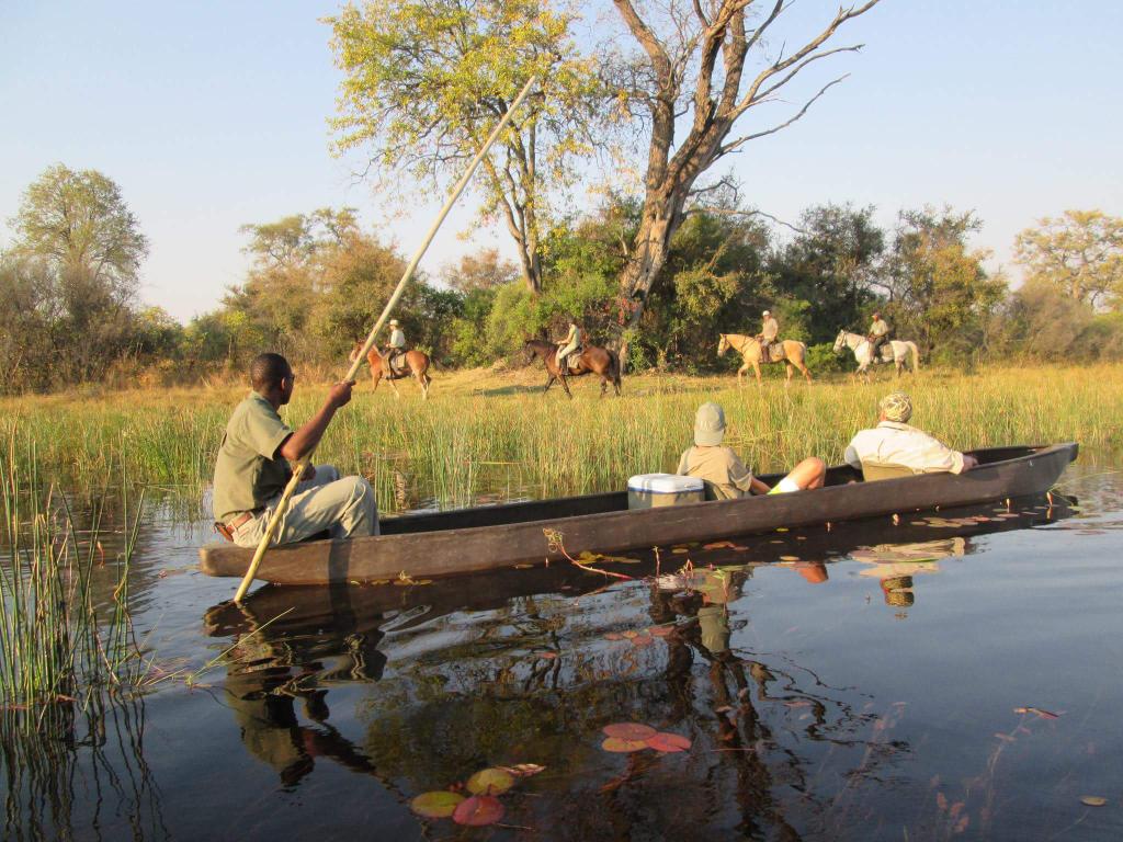 Save Africa Safaris