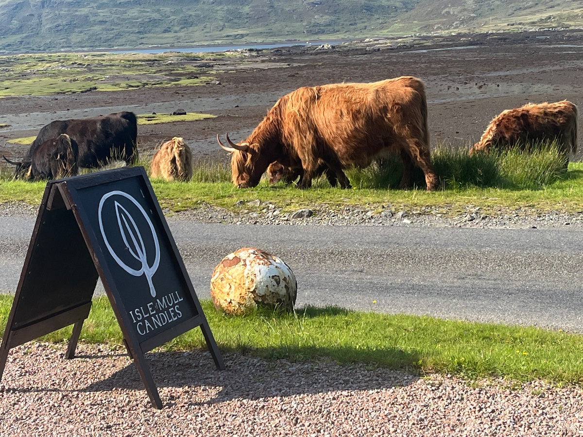 Isle of Mull Candles