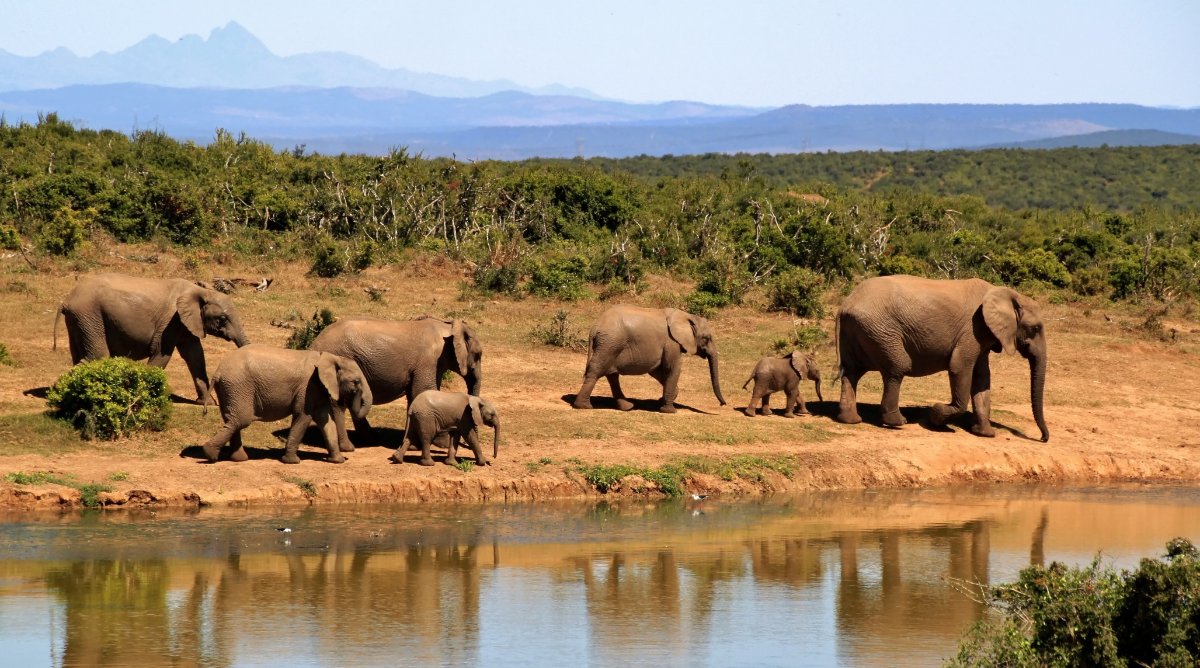 ISITOSHE TOURS AND TRAVEL