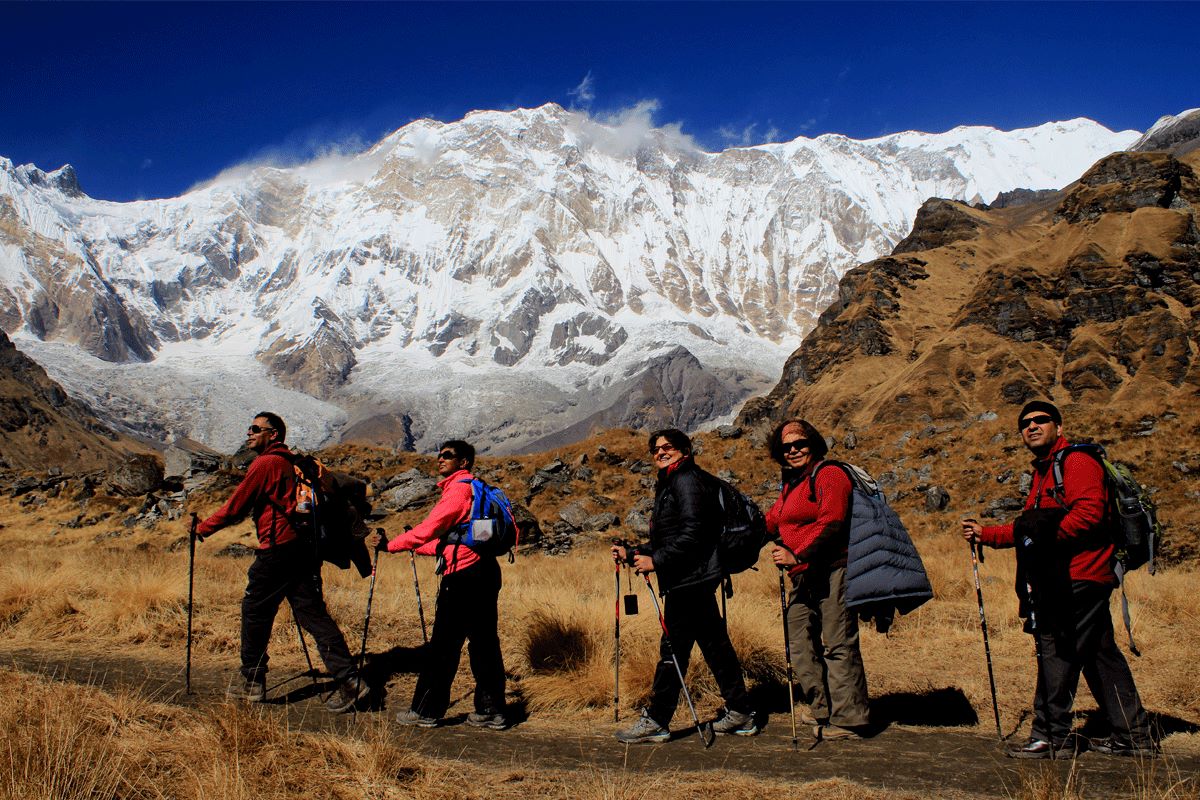 Mountain Hawk Trek