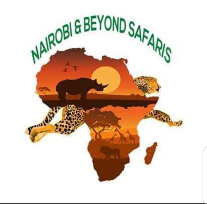 Nairobi and beyond safaris