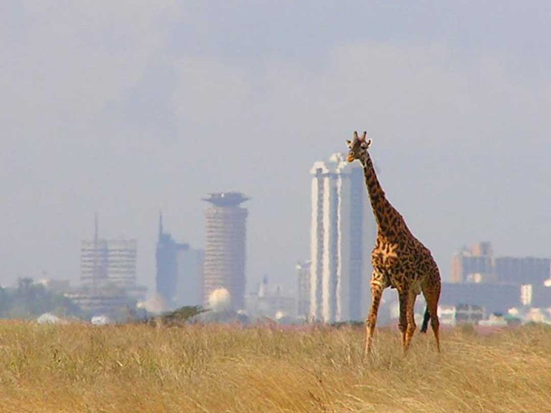 AfricanSpecialVacations