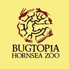Bugtopia Hornsea Zoo
