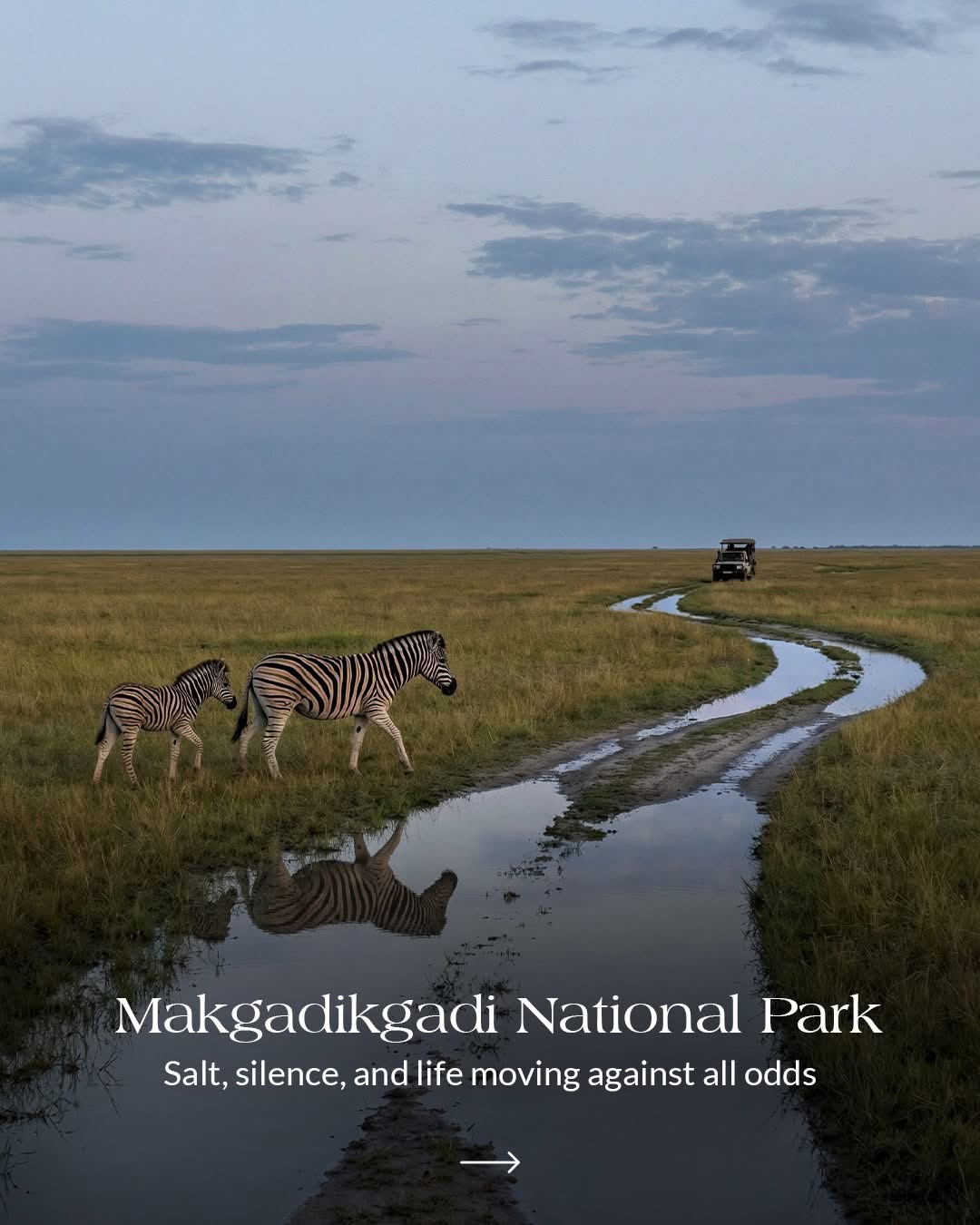 Makgadikgadi Pans Day Trip