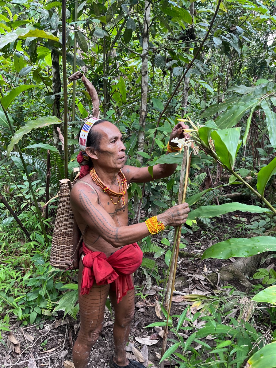 meeting the mentawai tribe
