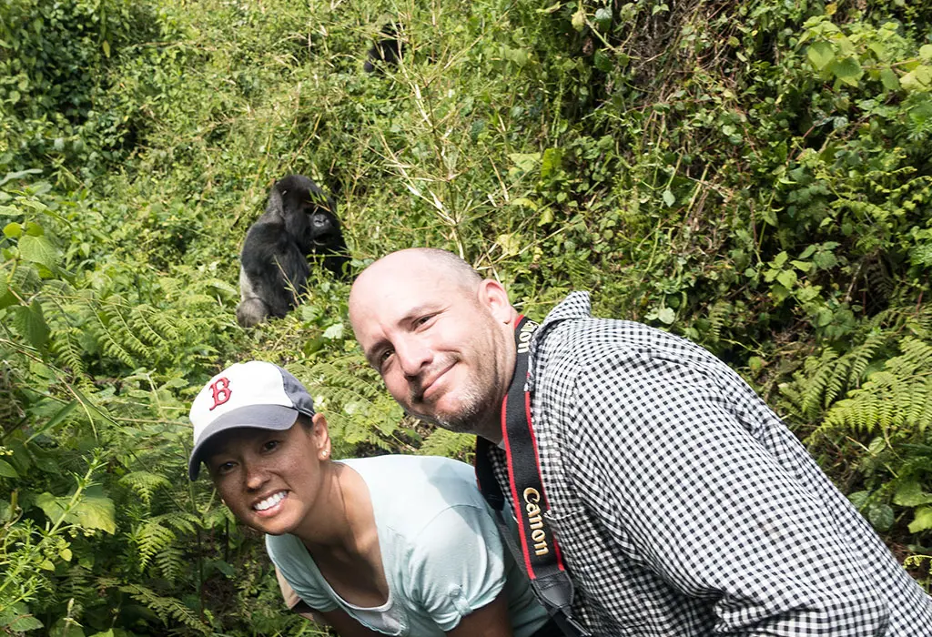 MOUNTAIN GORILLA UGANDA