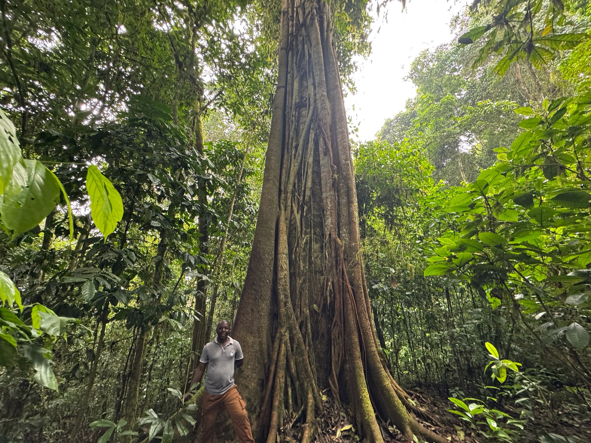 Center coffee mountain and waterfall tour