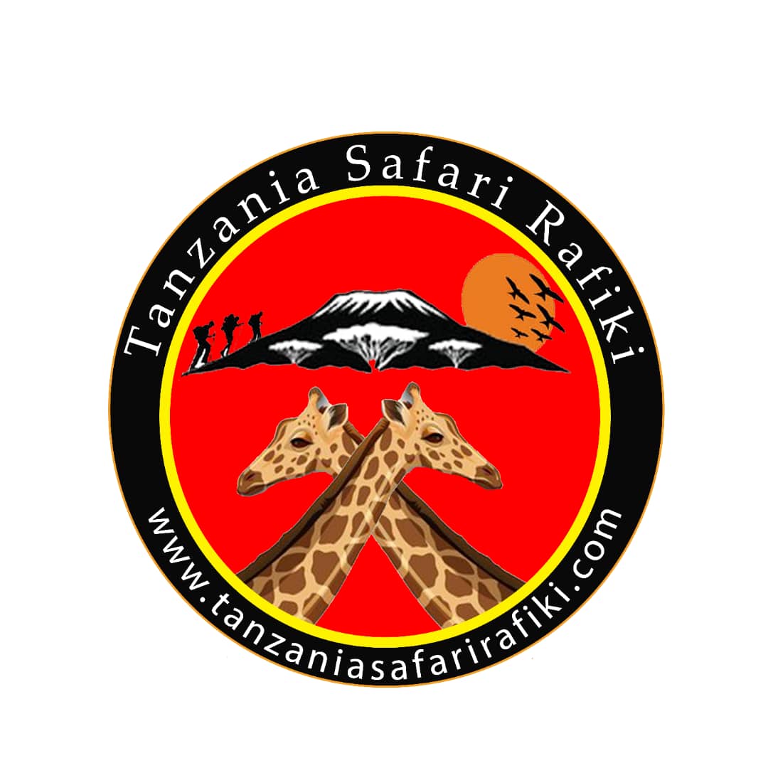 Tanzania Safari Rafiki