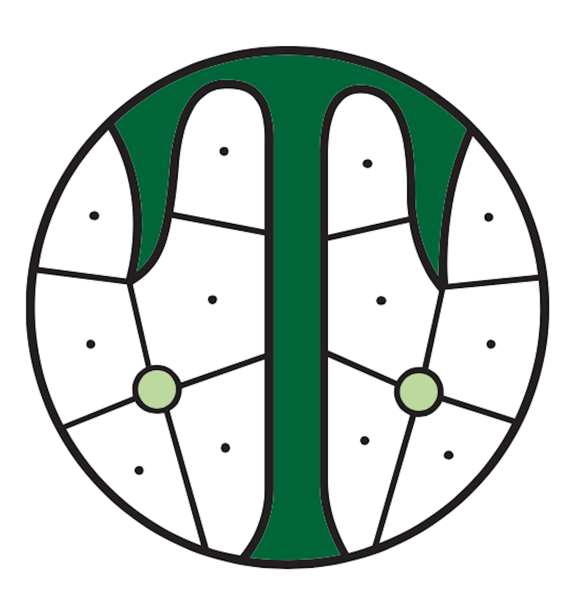 TLC Stained Glass