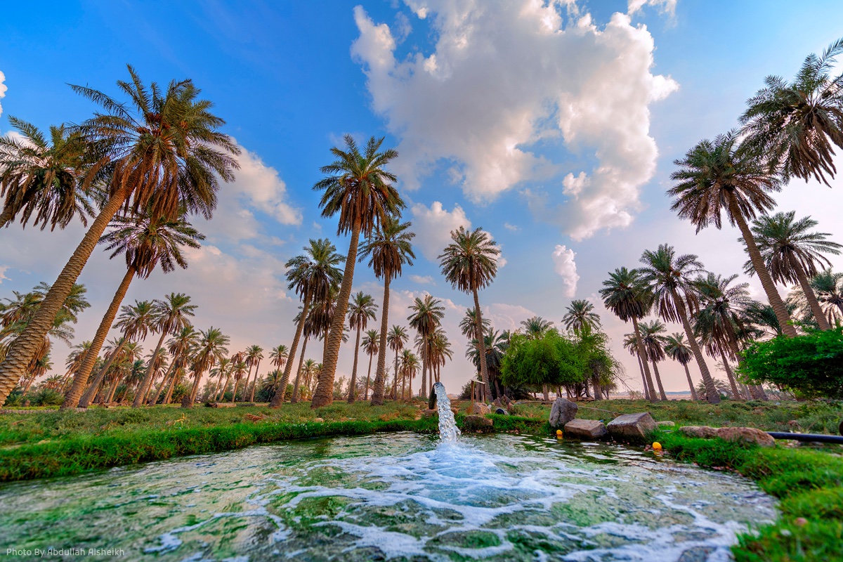 Fokharia Tour Operator