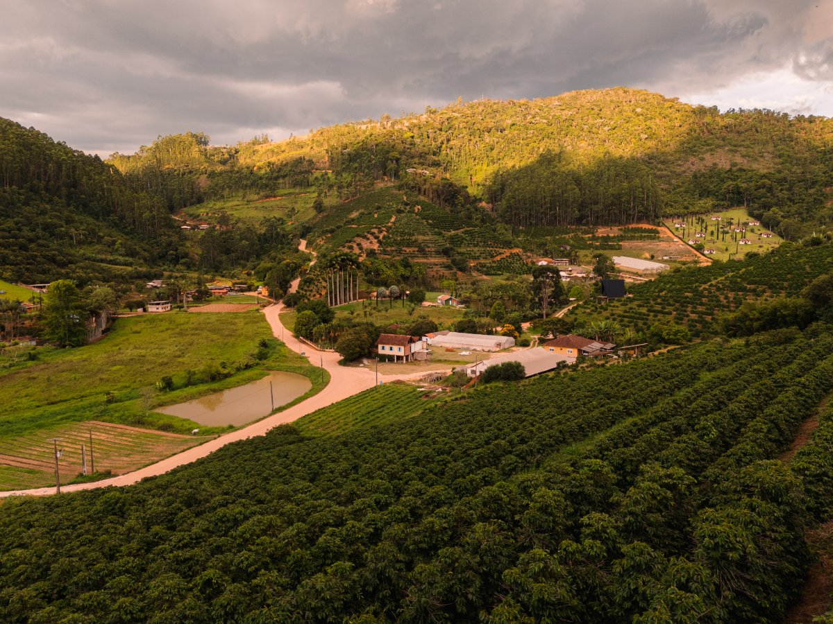 ZANDONADE CAFÉS ESPECIAIS