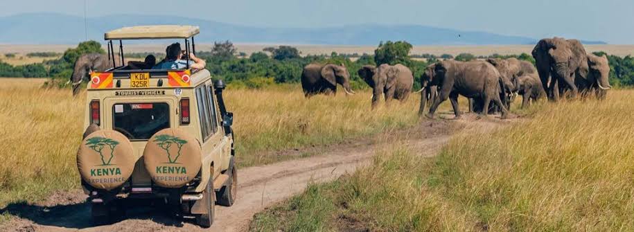 Roma Tours & Safaris Kenya