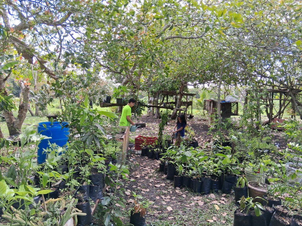 Mama Tina's Medicinal RV Camps