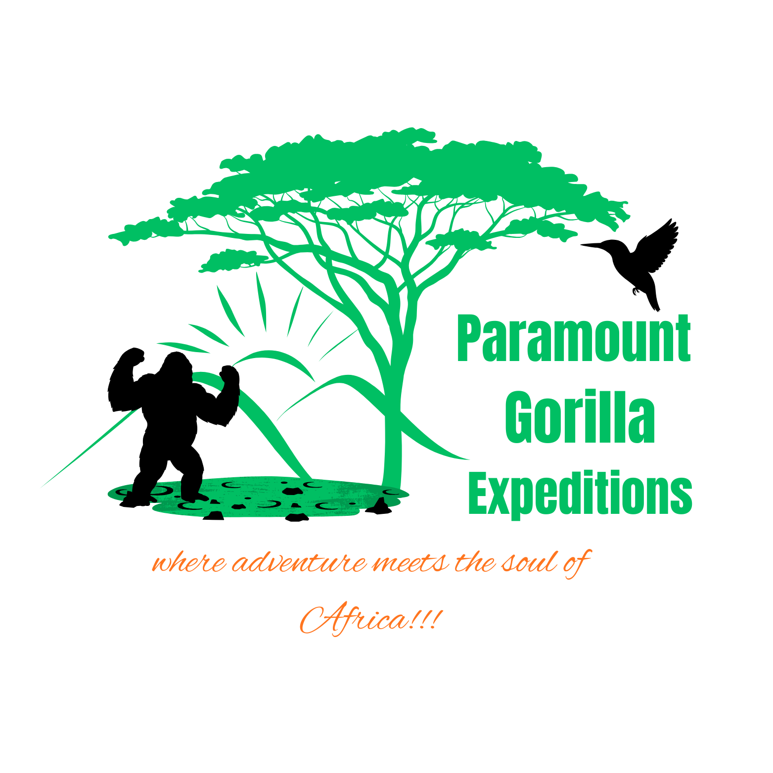 Paramount Gorilla Expeditions