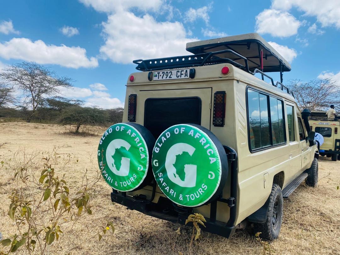 Glad of Africa Safaris & Tours