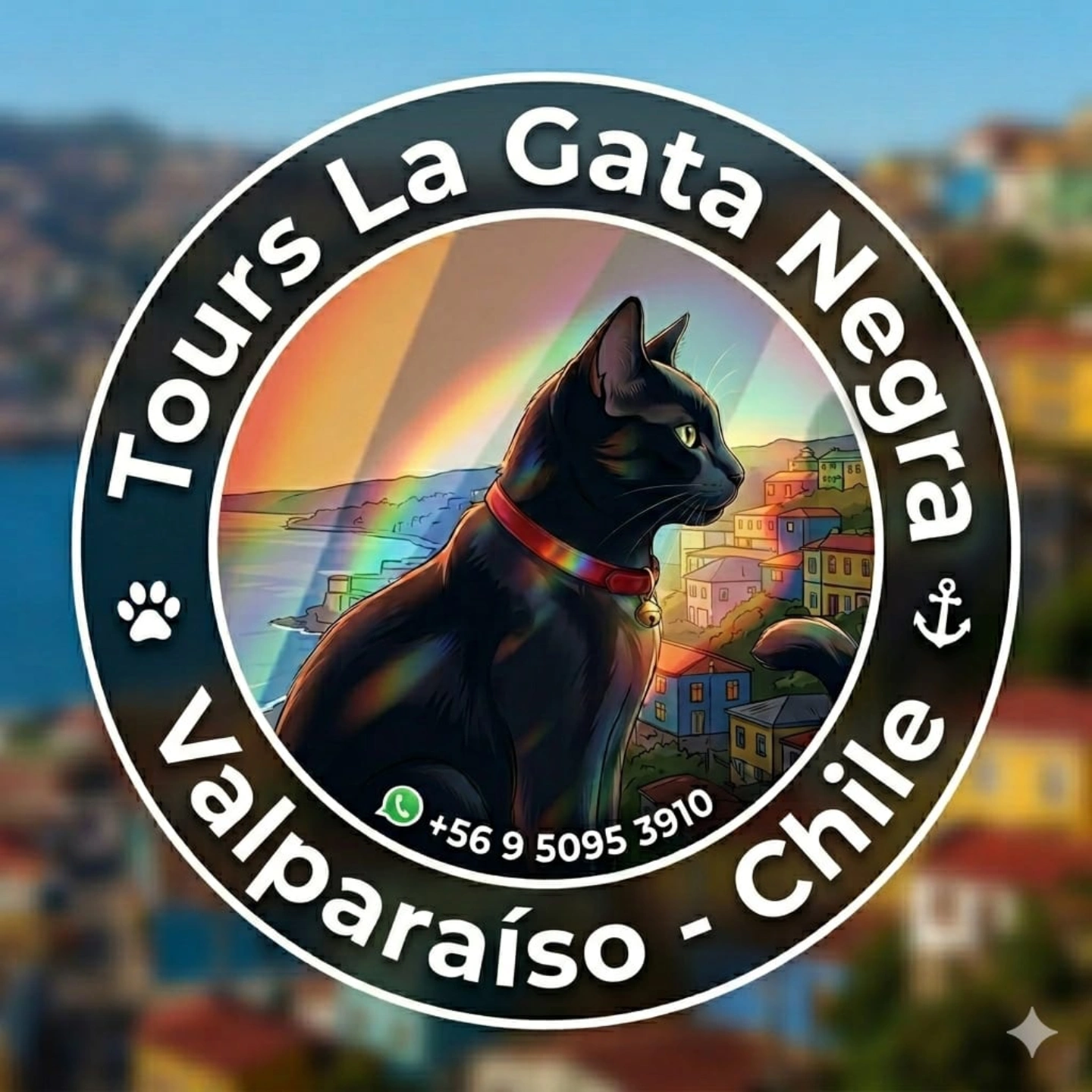 Tours La Gata Negra