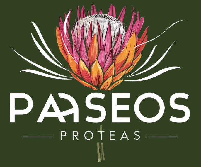 Paseos Proteas