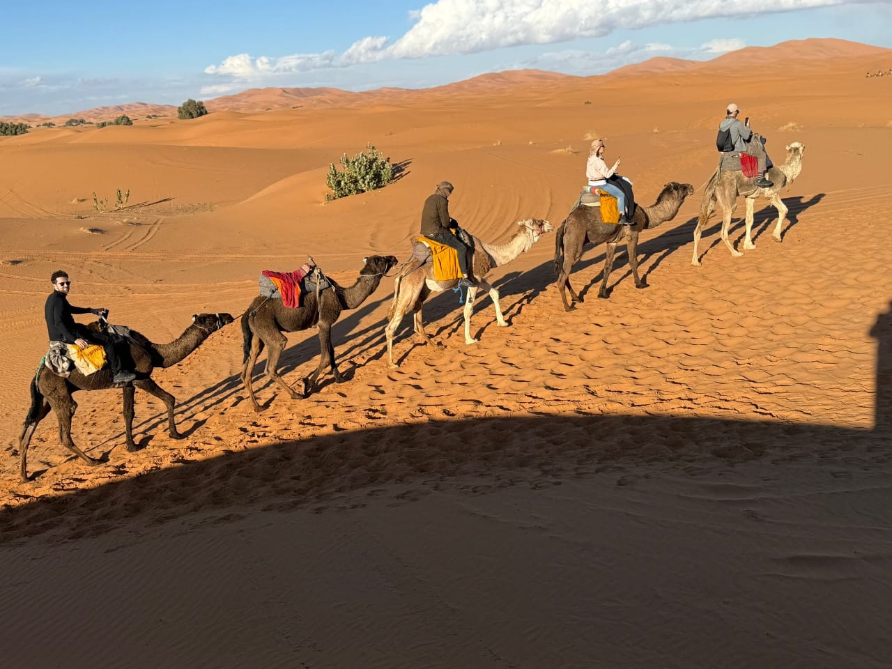 morocco Tours
