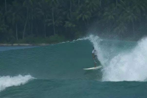 Venus Surf School In Bali