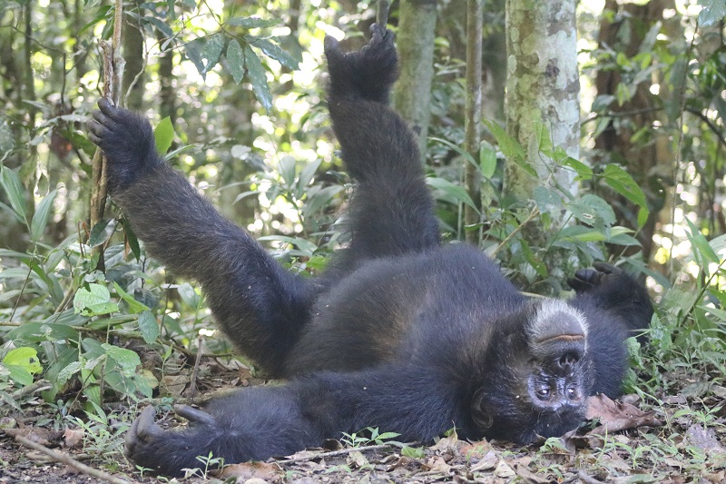 Nature Trails East Africa