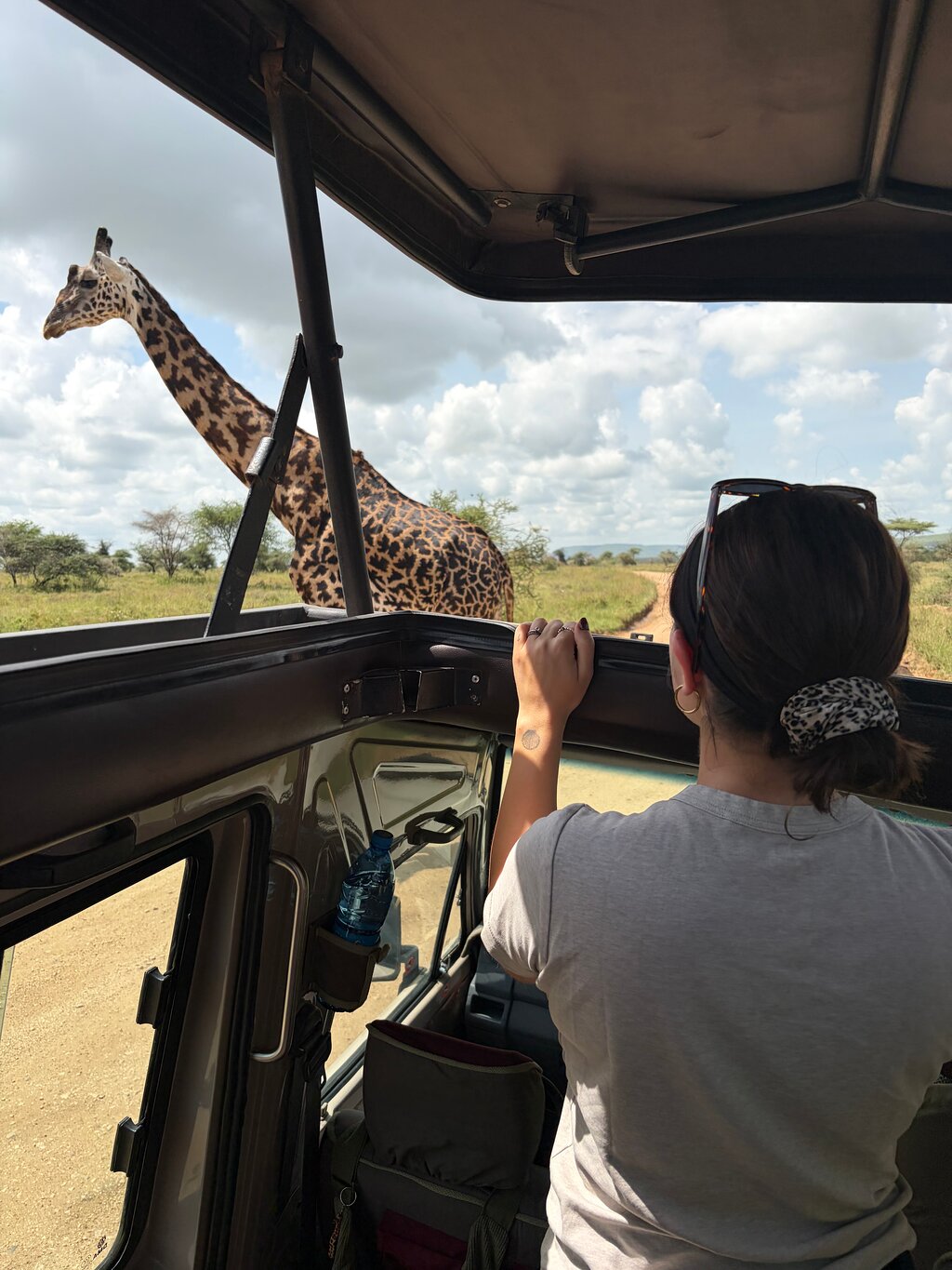 Nyumbu Trek