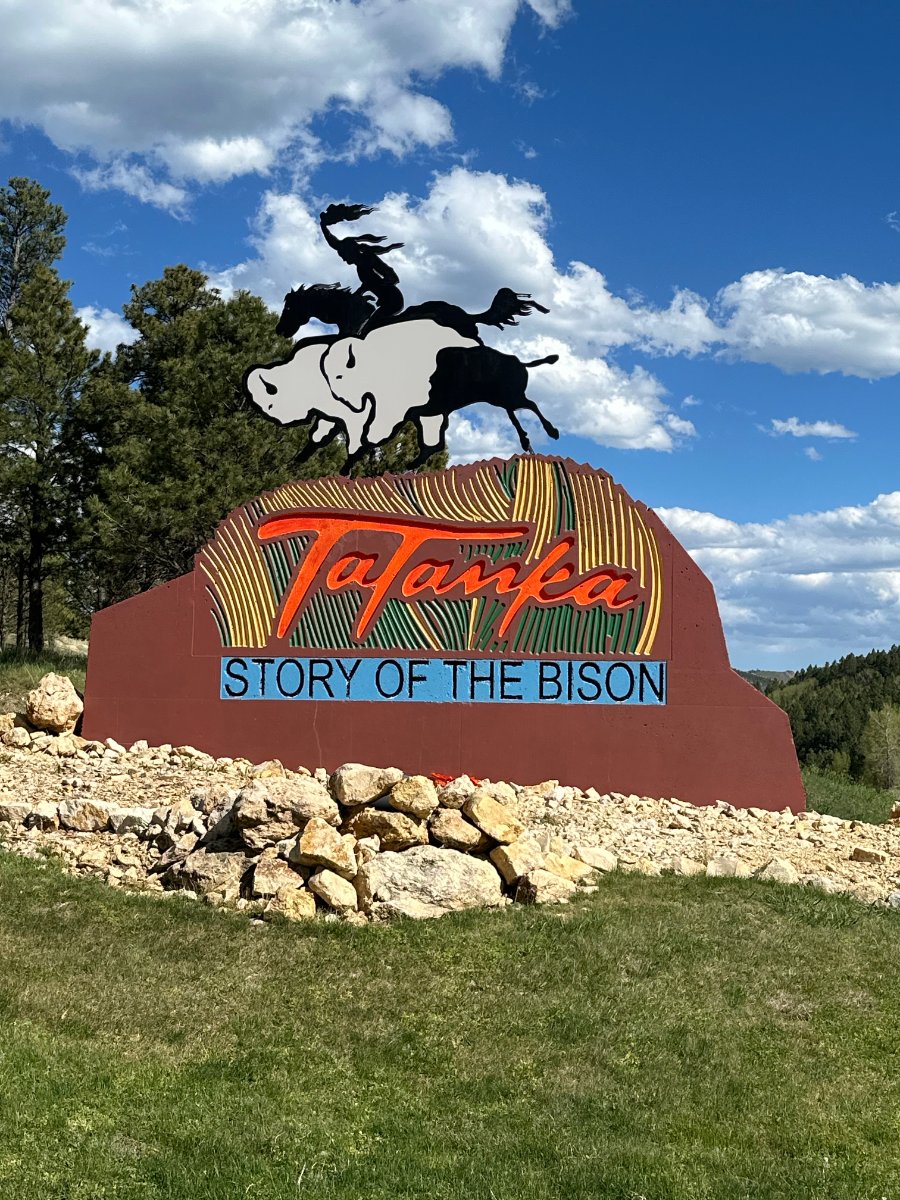 Tatanka, Story of the Bison