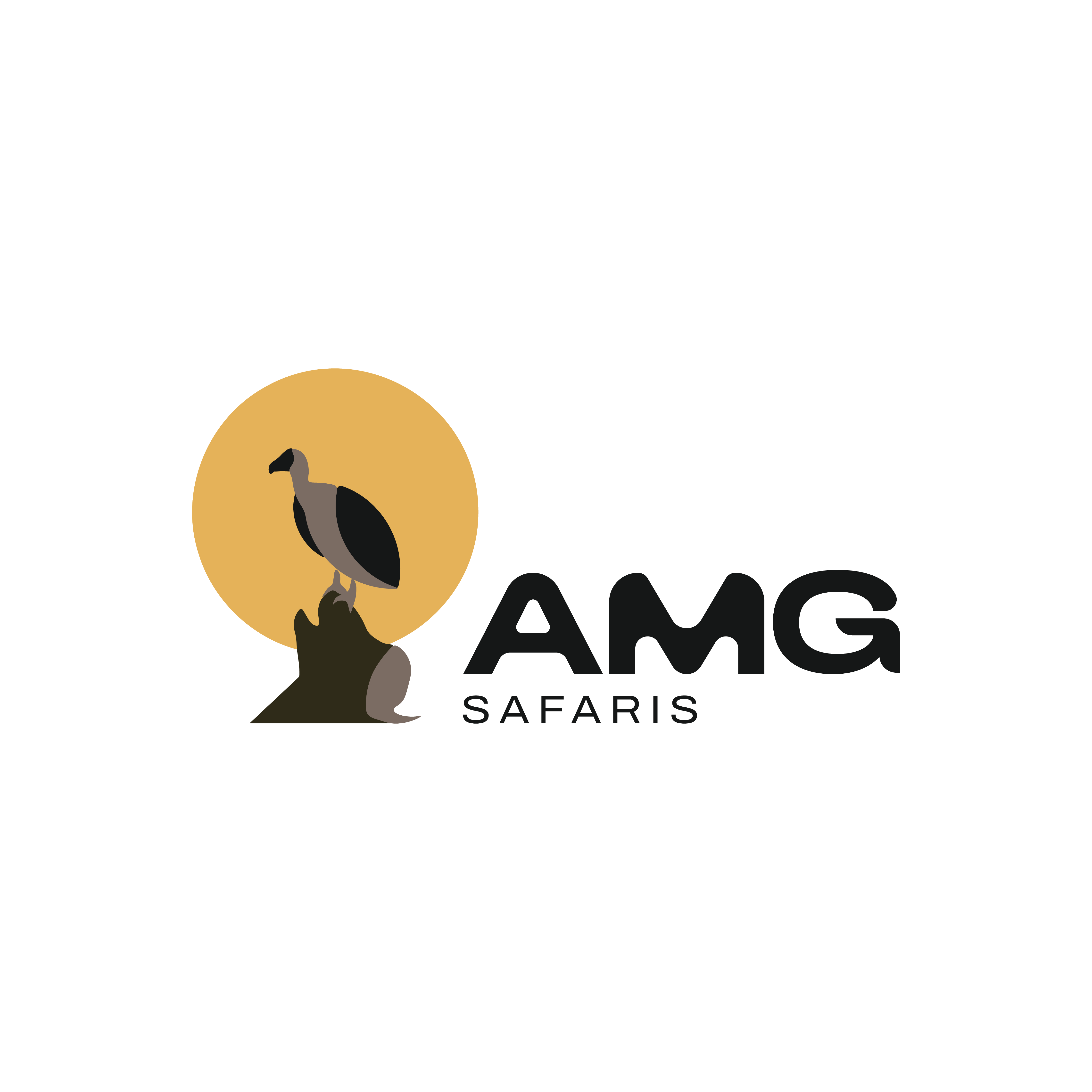 AMG SAFARIS LIMITED