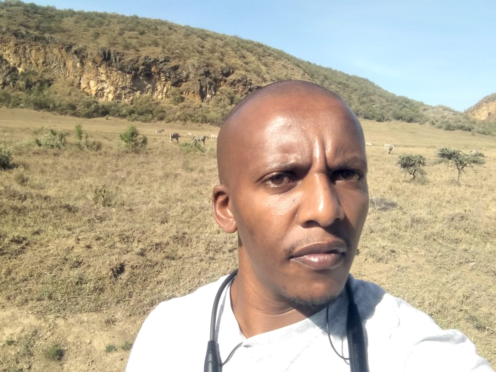 Swift Eagle Safaris