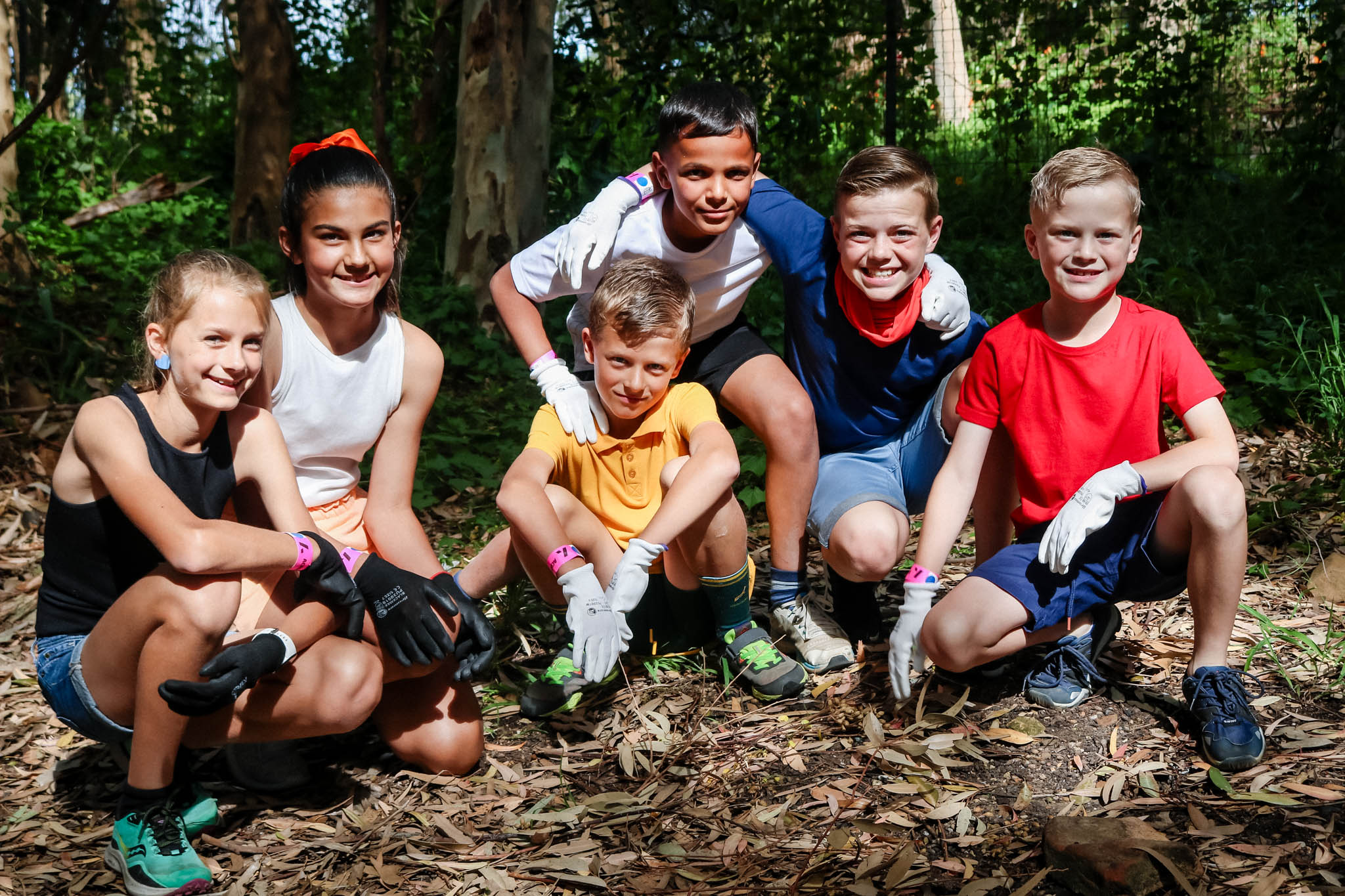 Acrobranch Stellenbosch