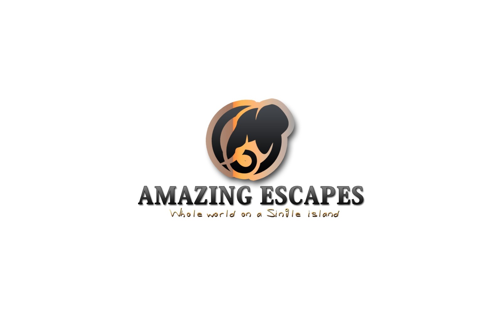Amazing Escapes Tours