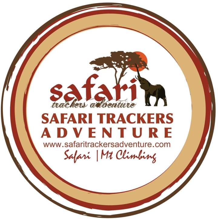 Safari Trackers Adventure